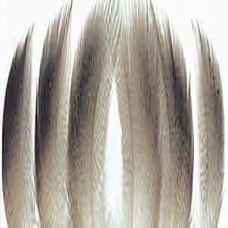 Wapsi - Bronze Mallard Spey