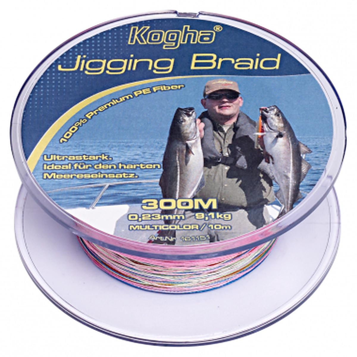 Fishing Line Jigging Braid (multicolor, 300 m)