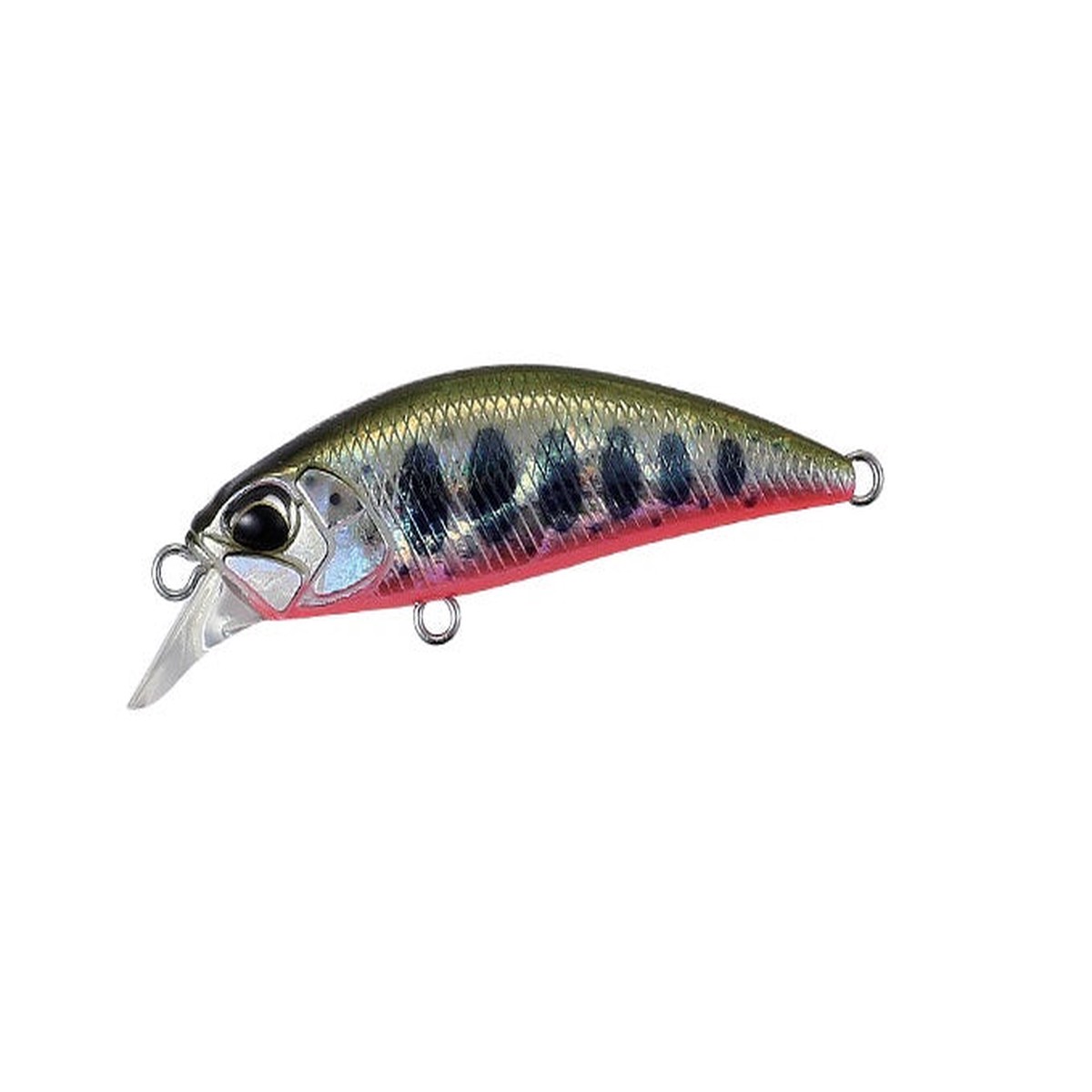 Duo Spearhead Ryuki 45S ADA4068 Yamame Red Belly