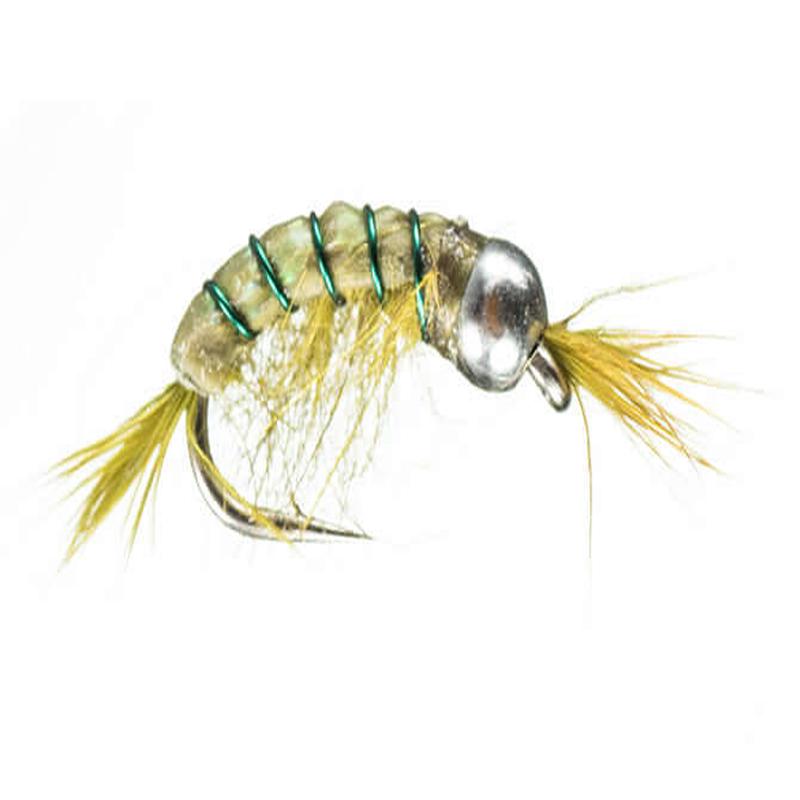Bead head Scud