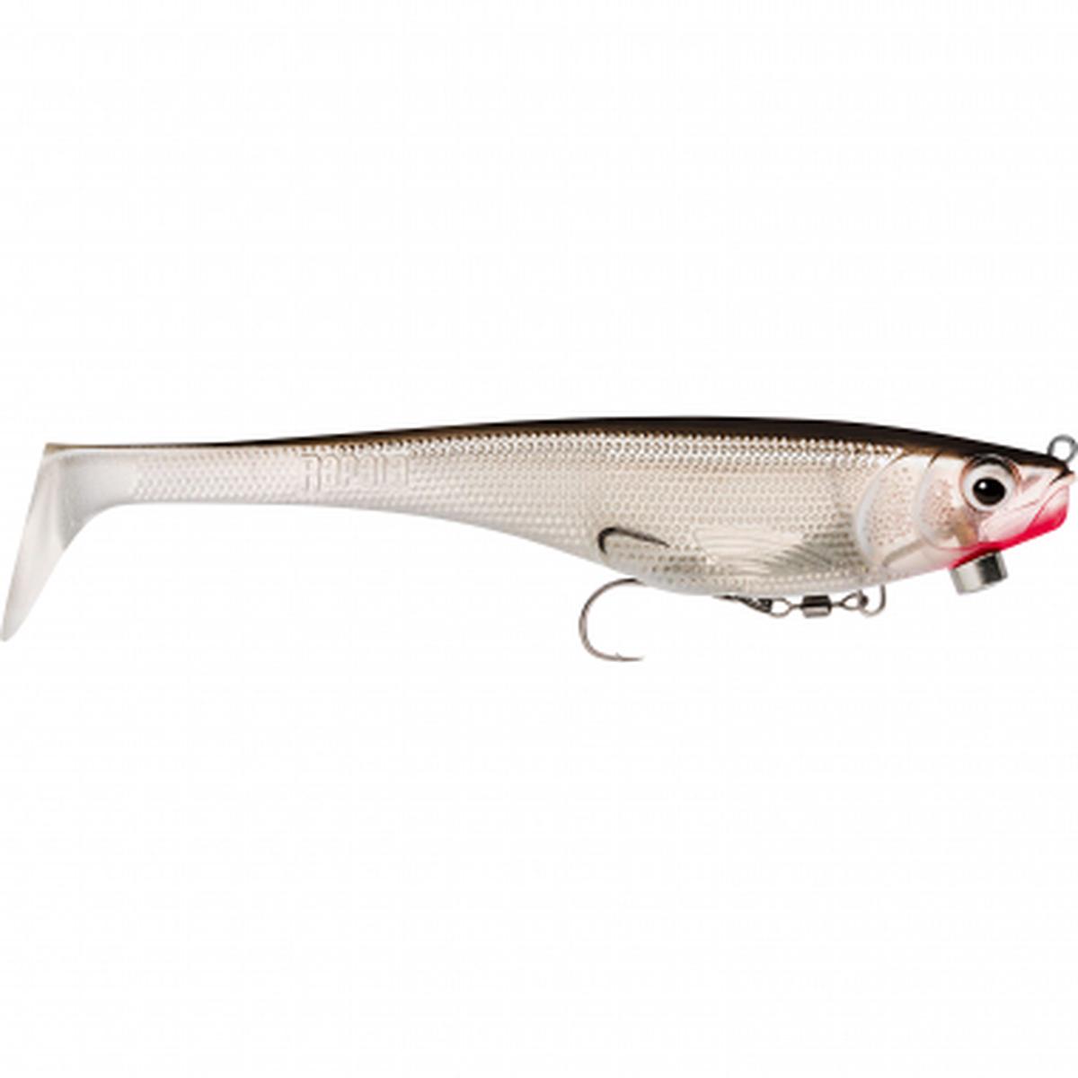 Soft Peto Prerigged (S)