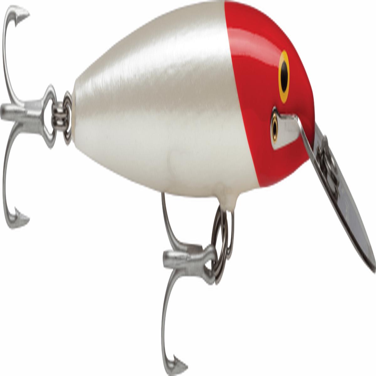 Rapala CDMAG Countdown Magnum Metal BIB Hard Body Trolling Lure 22