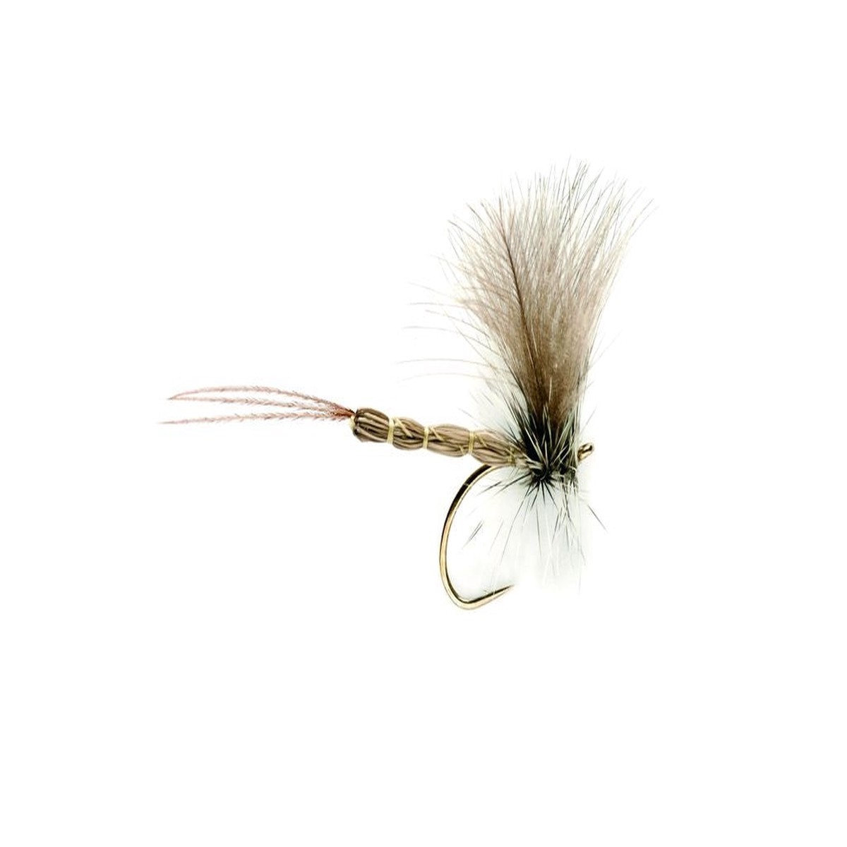 Fulling Mill Mayfly CdC