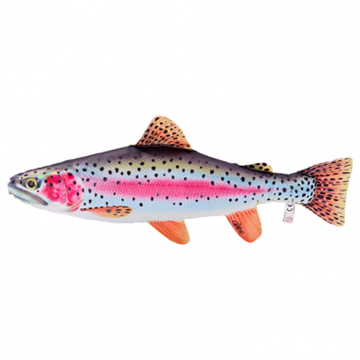 Stuffed anima lRainbow Trout