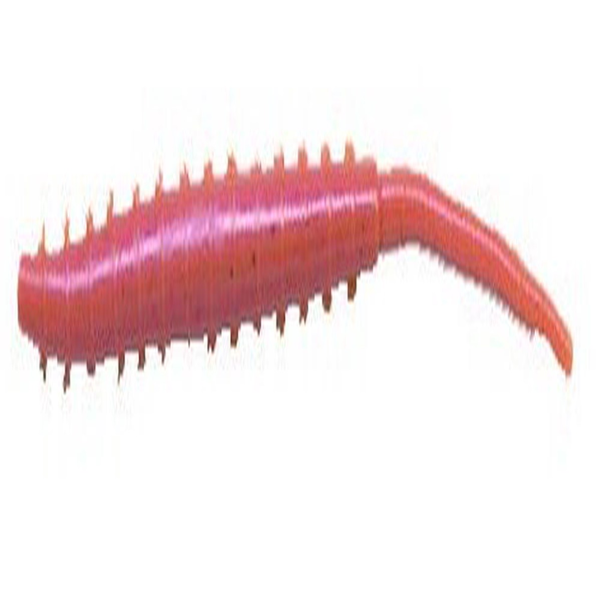 Berkley Gulp Alive Arenicola Lugworm 4" Natural Brown