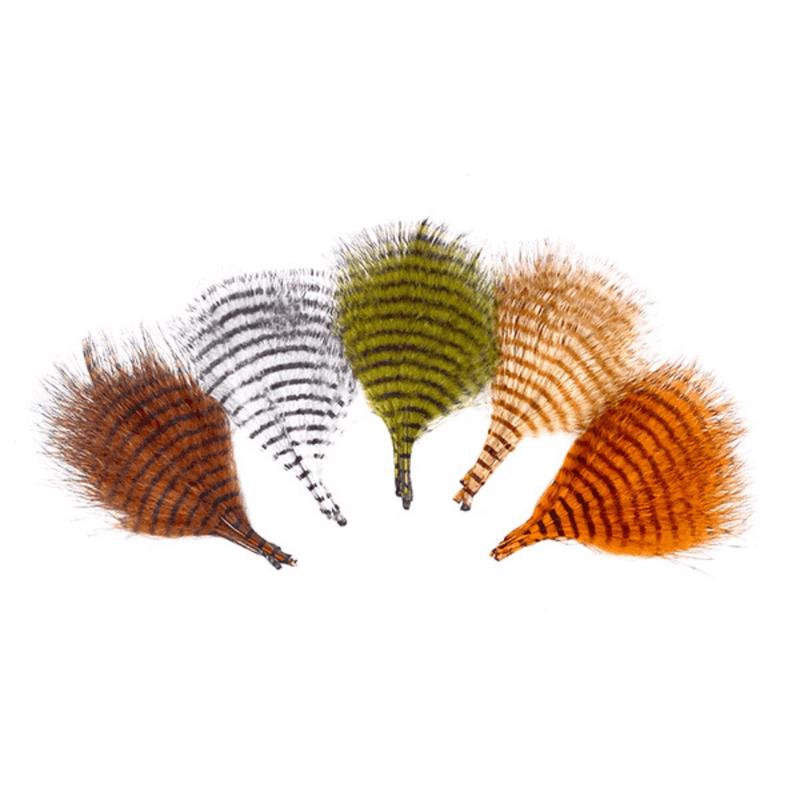 MFC - Mini Barred Marabou