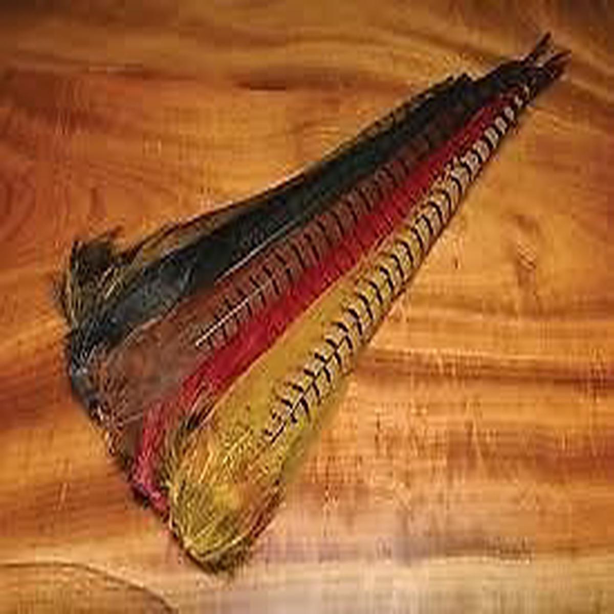 Ringneck Pheasant Tail Clump - Fly Tying