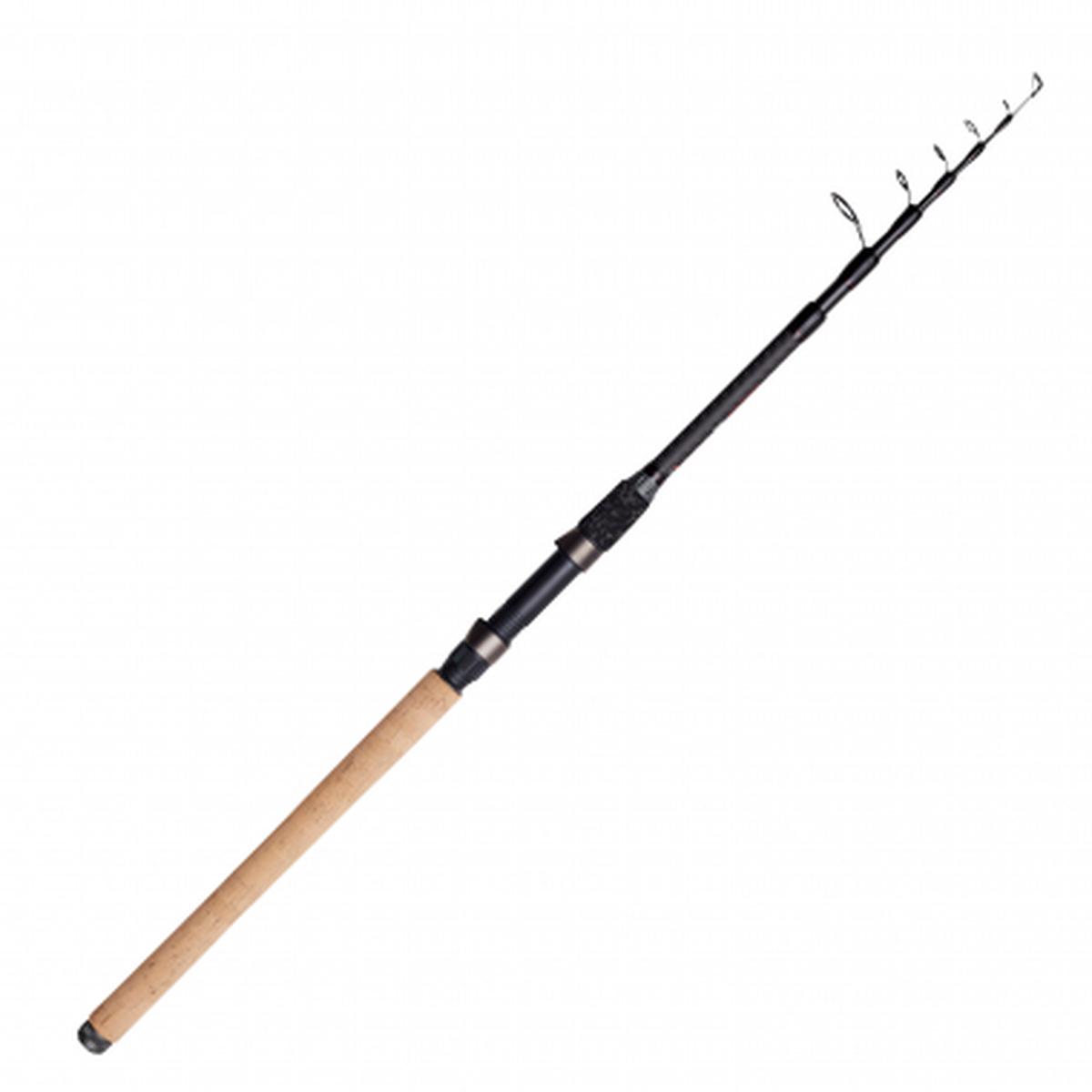 Fishing rod Shadow Tele (length: 300 cm)