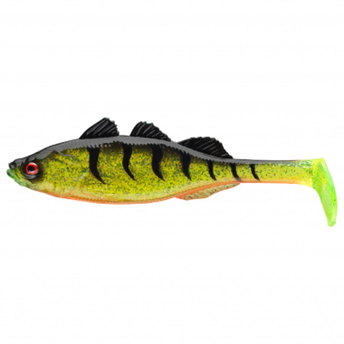 Live Perch (Ghost Firetiger)