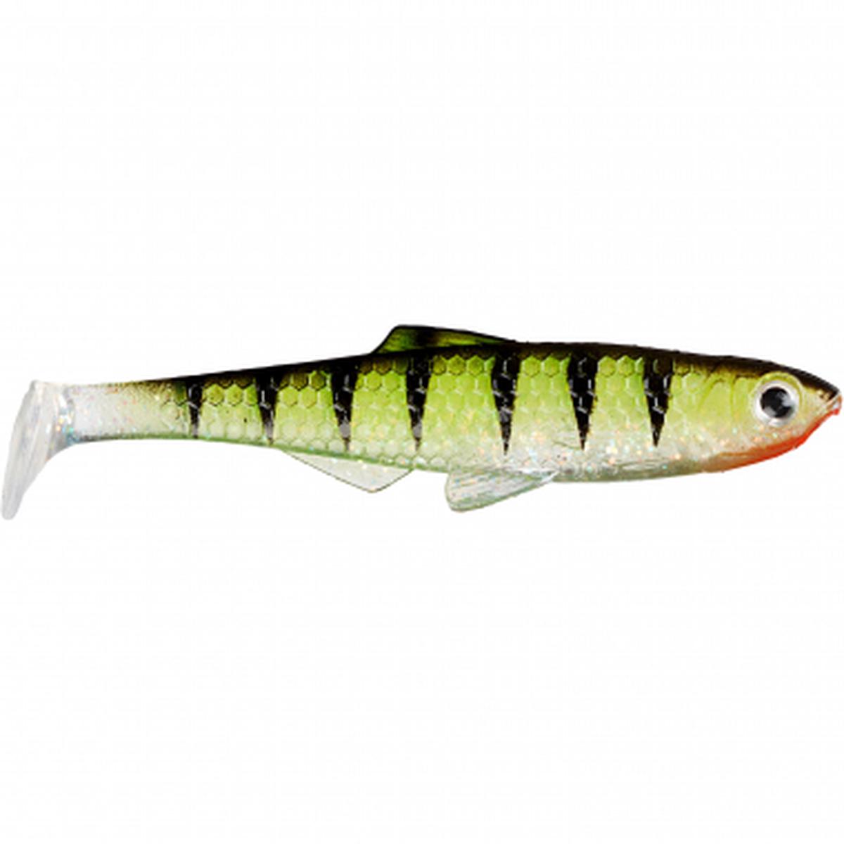 Shad - Baby Perch