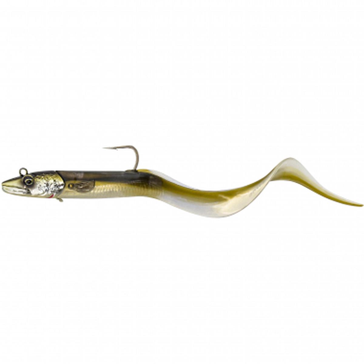 Conger Eel (Conger)