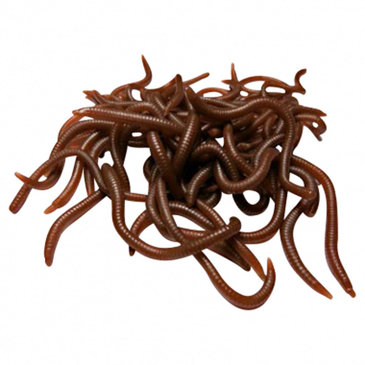 Soft Baits Artificials (Worm)