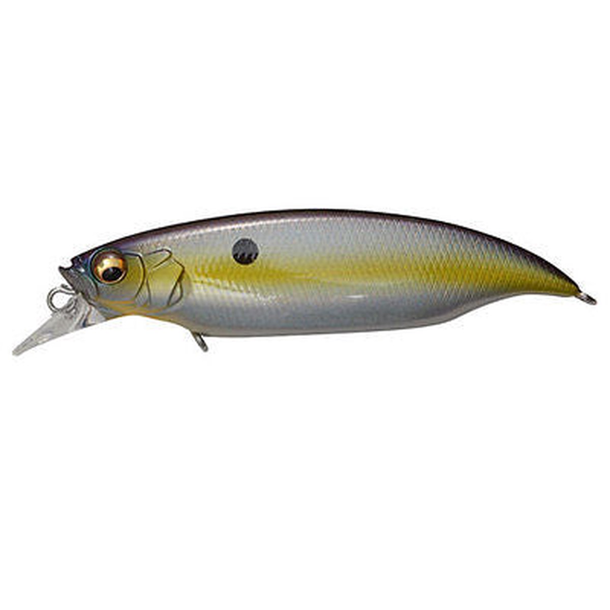 MEGABASS ELBO MEGABASS SEXY SHAD