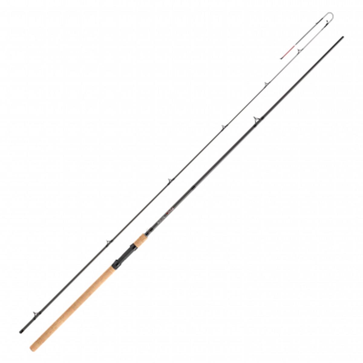 Fishing Rod Viper Swingtip