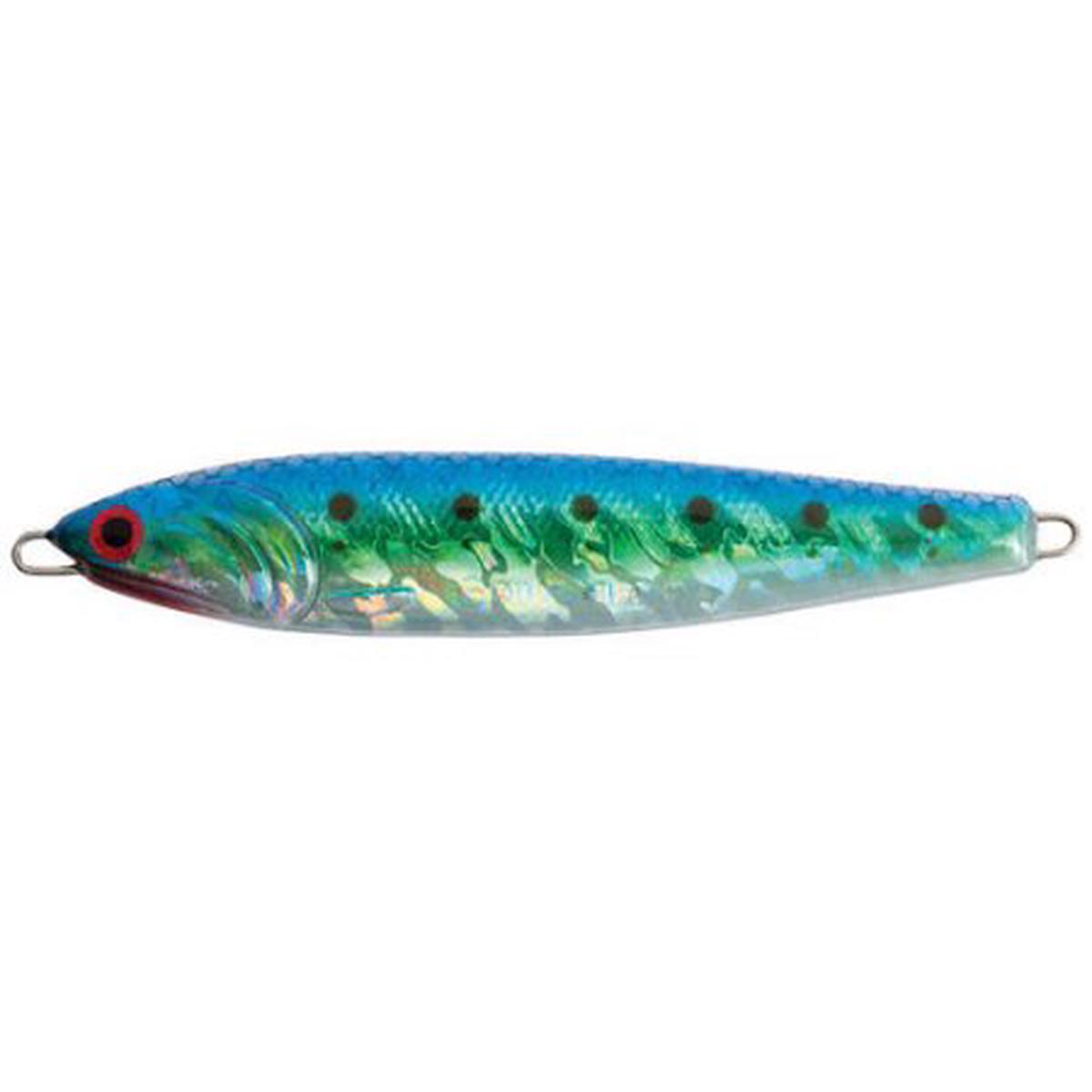 Point Wilson #20 Anchovy