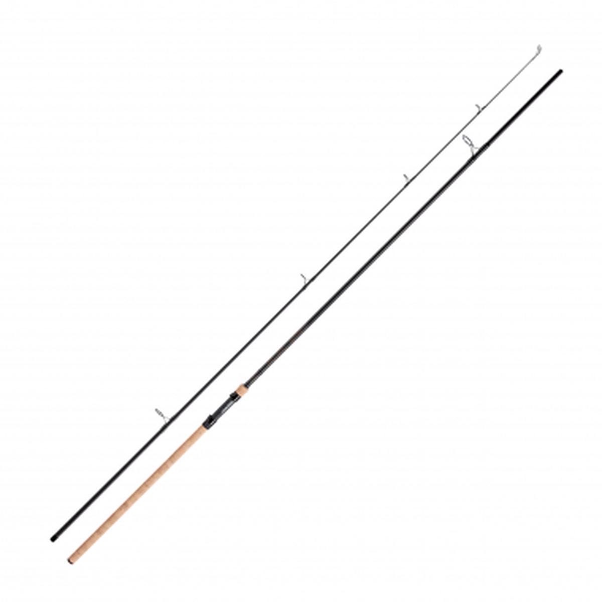 Carp Fishing Rod Dominator