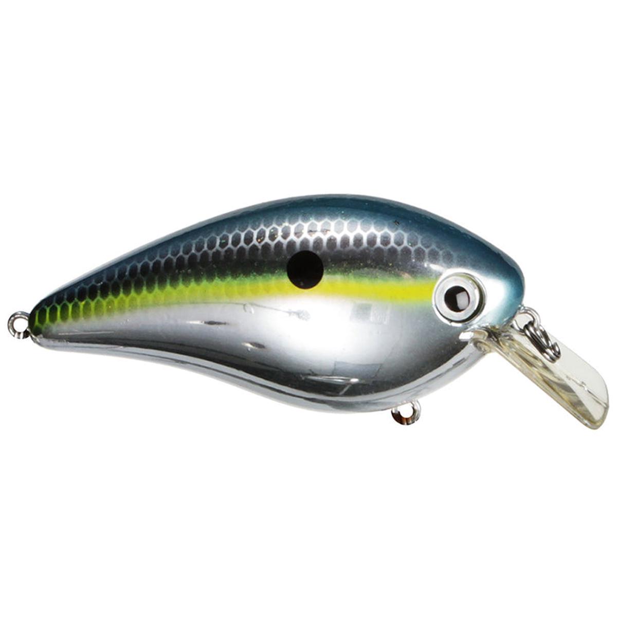 Kvd Square Bill 1.5,chrome Sexy Shad