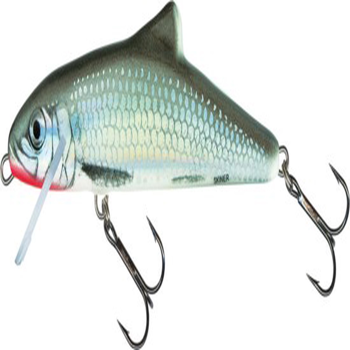 SALMO Skinner 12 FL HGS