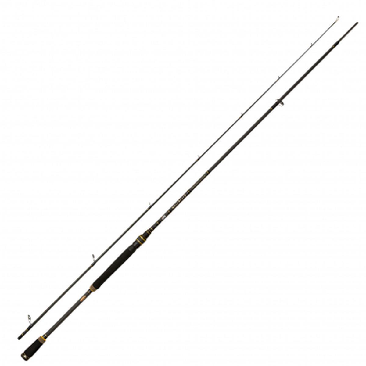 Spinning Rod Mass Beat II Spinning