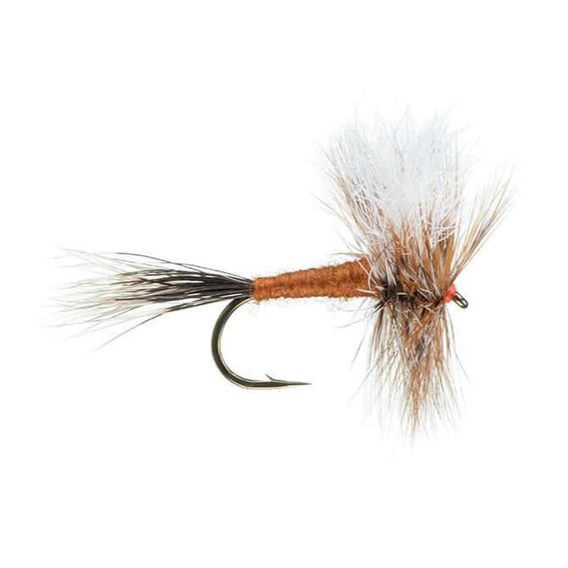 Ausable Wulff