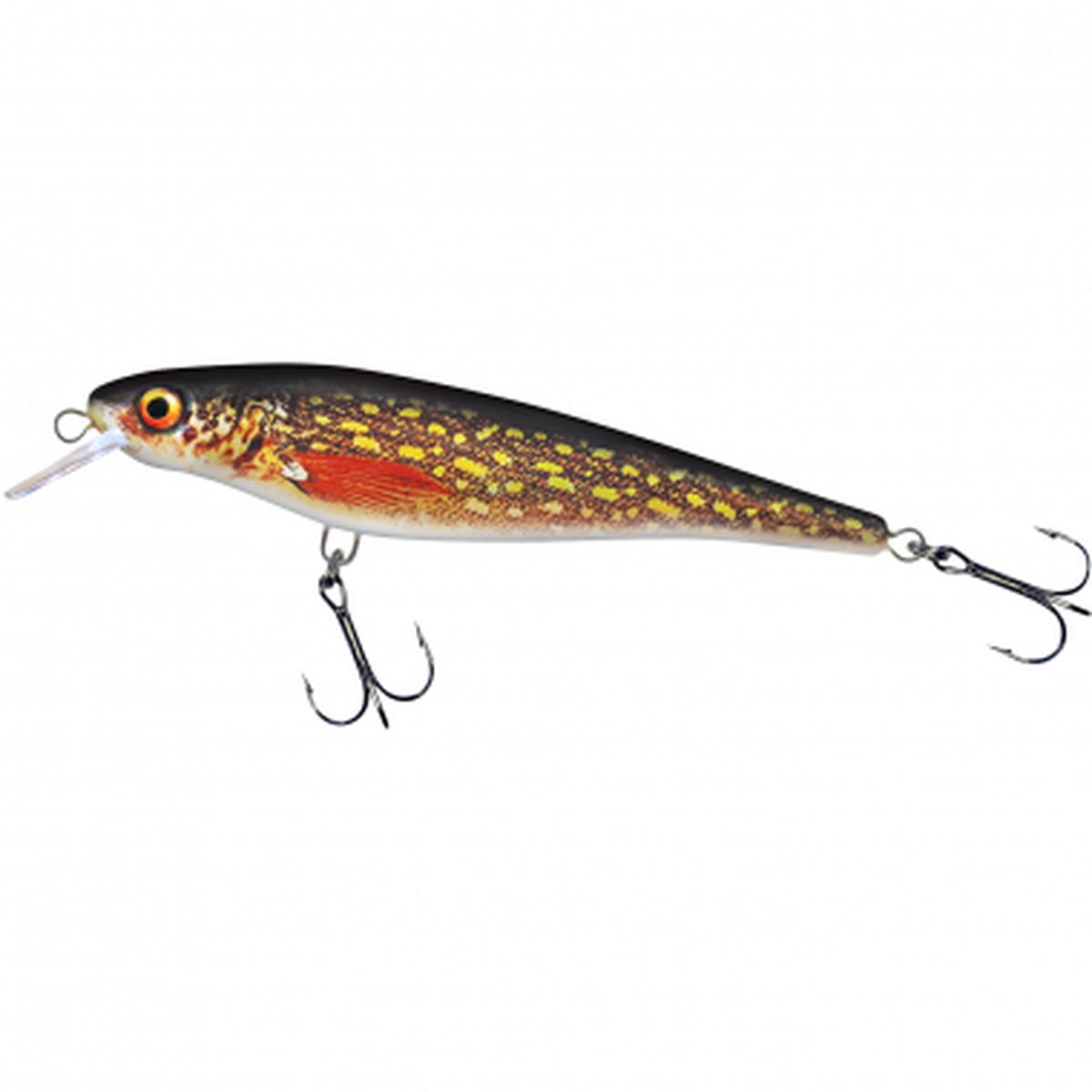 Hechtschrecke/Pike Grasshopper (Natural Pike)