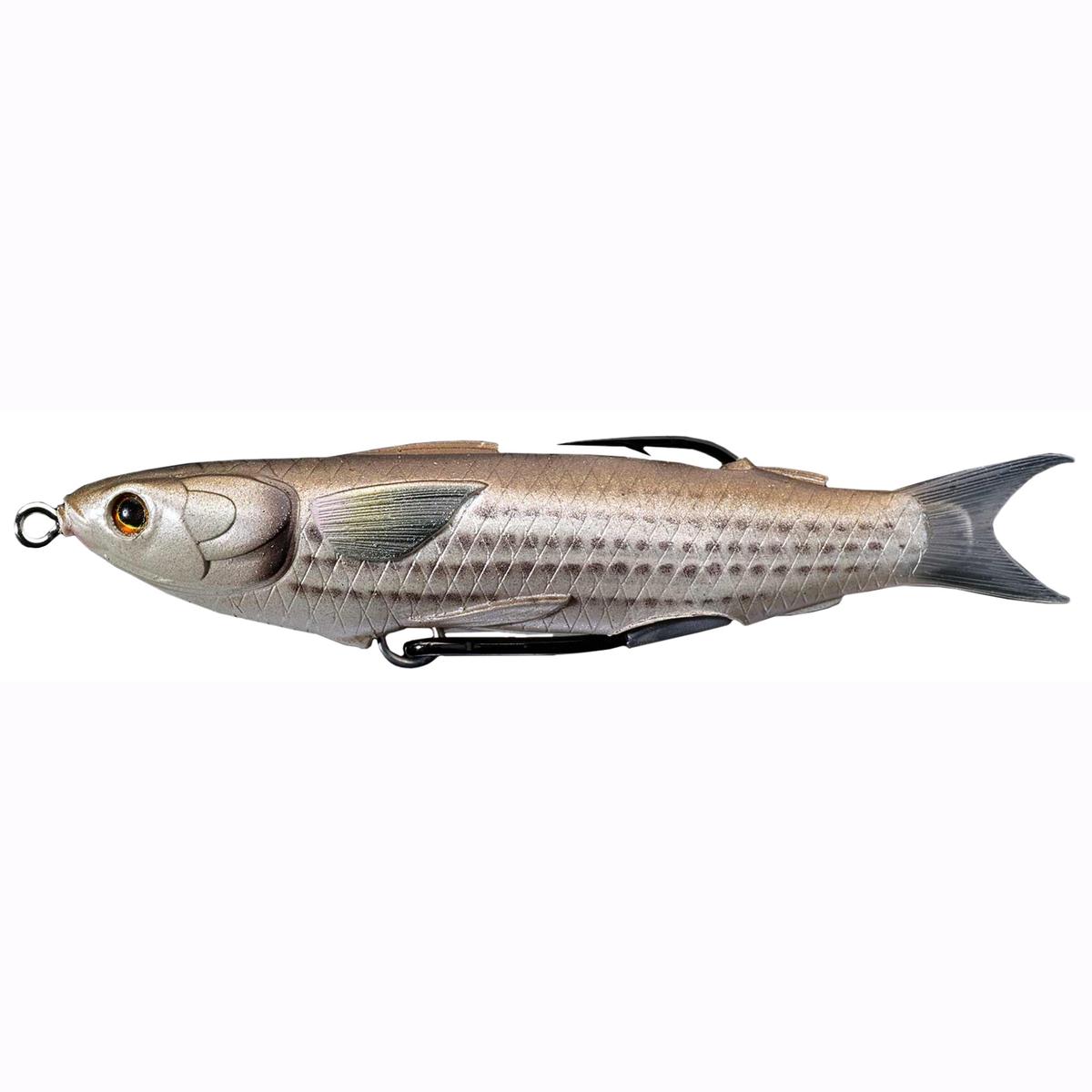 Mullet