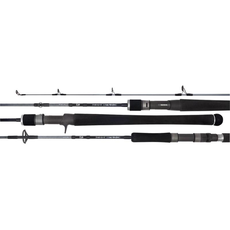 Daiwa 20 TD SALTWATER BJ66-1.5 6'6" Overhead Rod