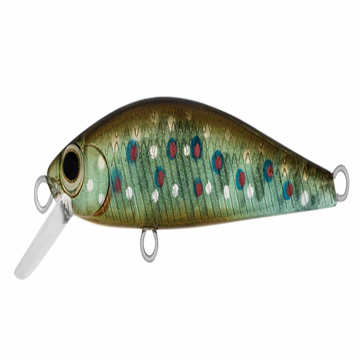 Daiwa Silvercreek DR Minnow Hard Body Lure 50S