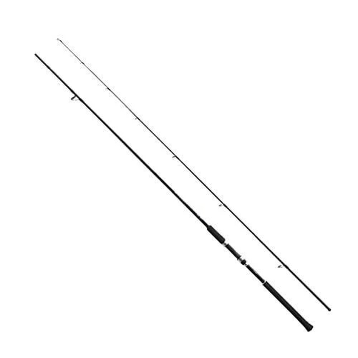 Shimano 19 SALTY ADVANCE LIGHT SHORE JIGING S100ML Spinning Rod