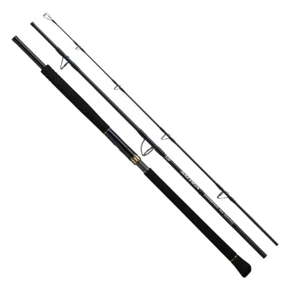 Daiwa 25 SALTIGA C Expedition 77-10 Spinning Rod