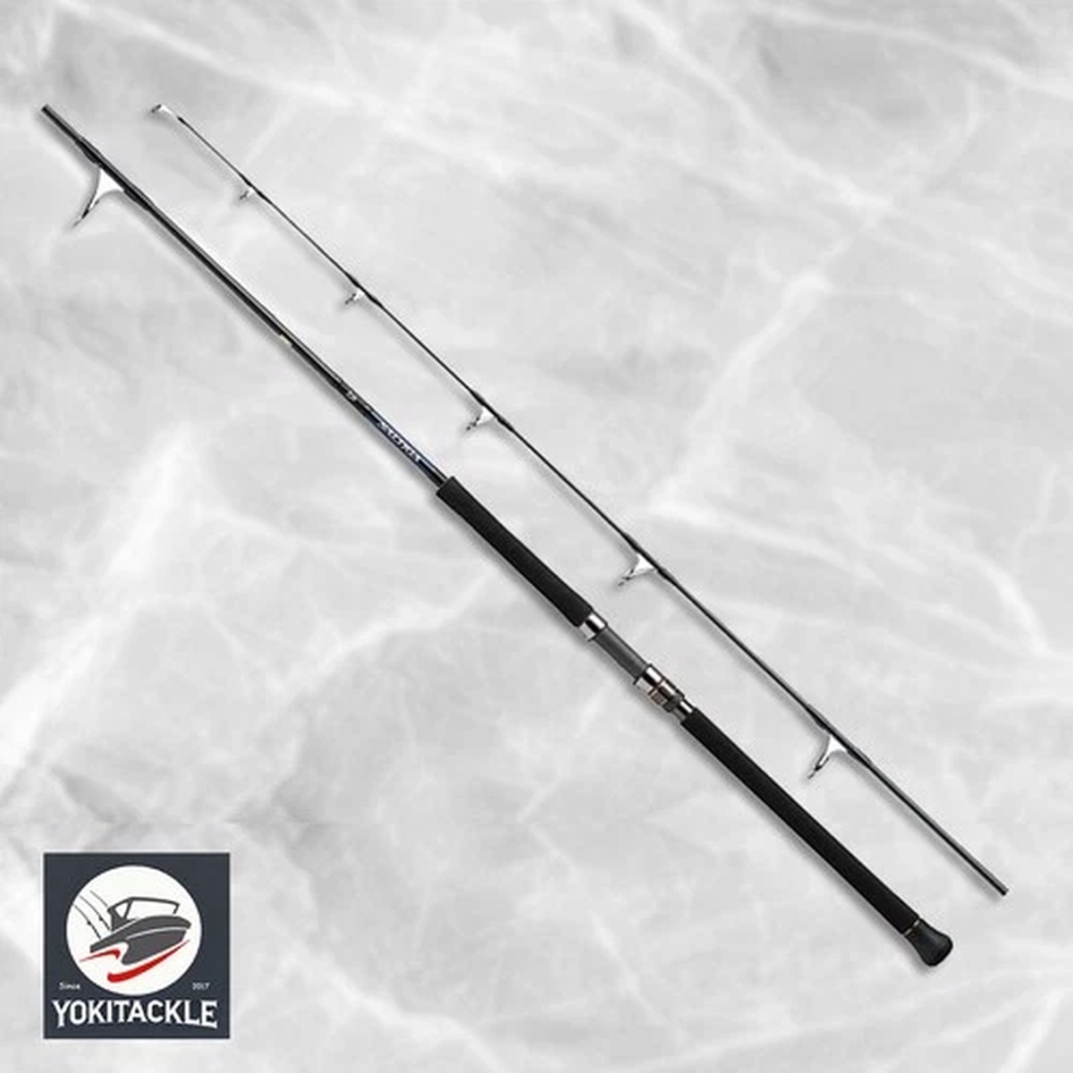 Daiwa SALTIGA C 79-10 Spinning Rod JDM Shipping From JAPAN