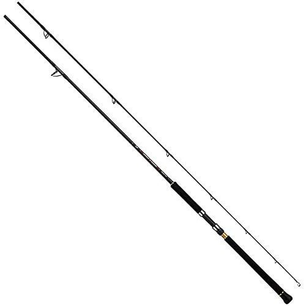 Daiwa Over There Grande 100MH Spinning Rod