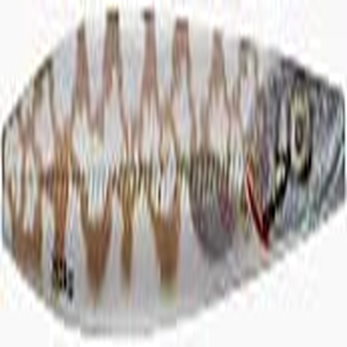 Savage Salt 3D Line Thru Seeker - 13g 2.75" White Pout