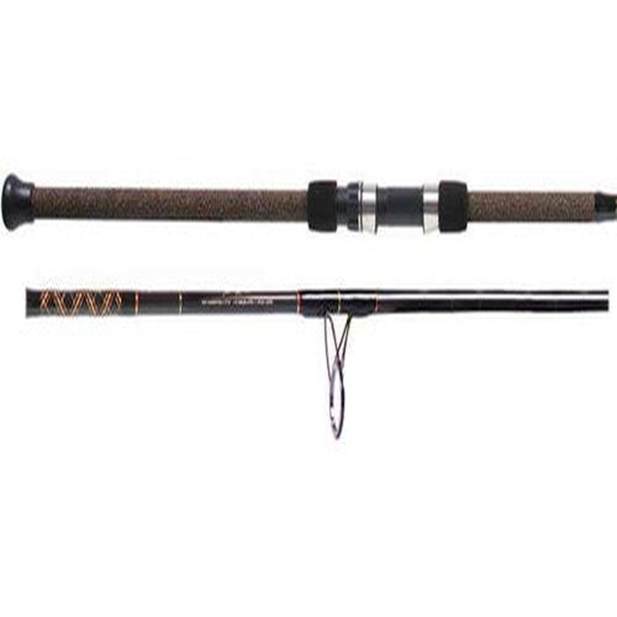 Star Rods 9' Aerial EX1230S90CT Surf Spinning Rod, Medium / Heavy, 12-30lb.