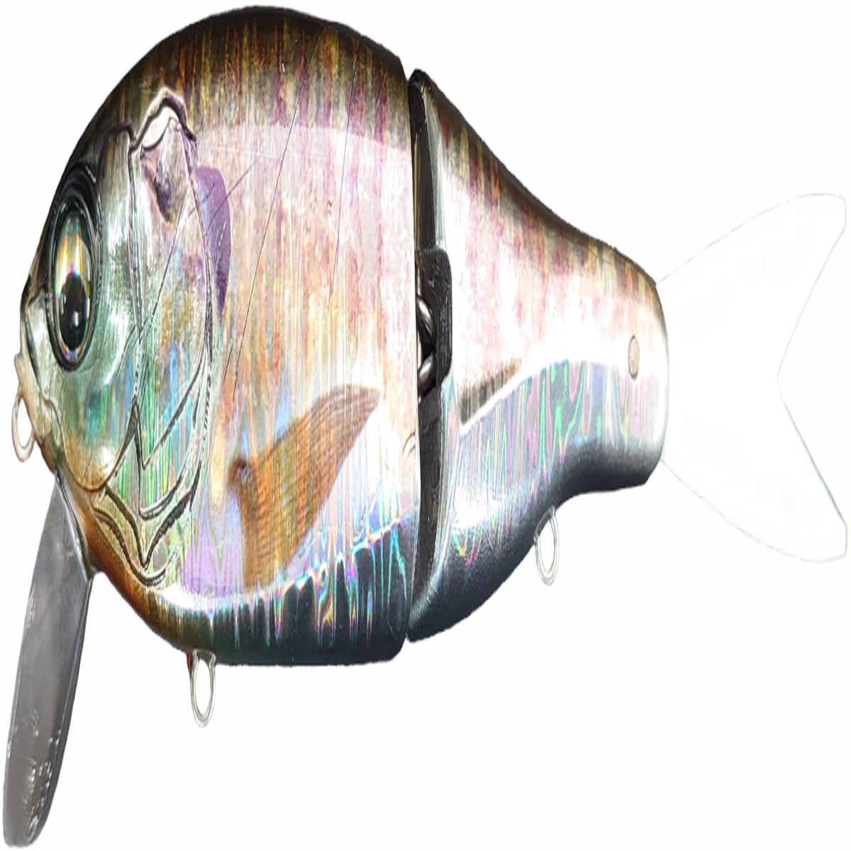 Eisvogel Slowth 150