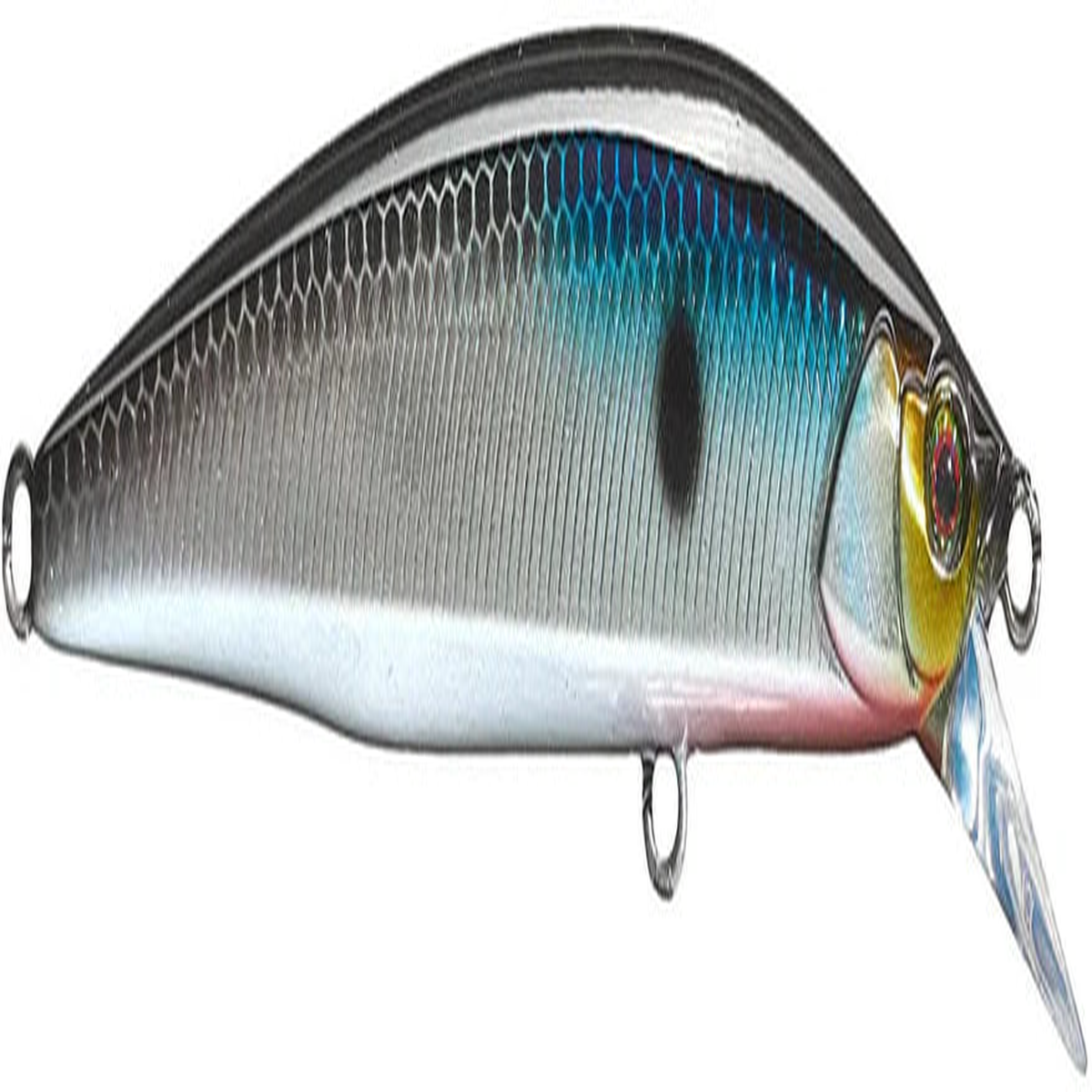 JACKALL RERANGE 95