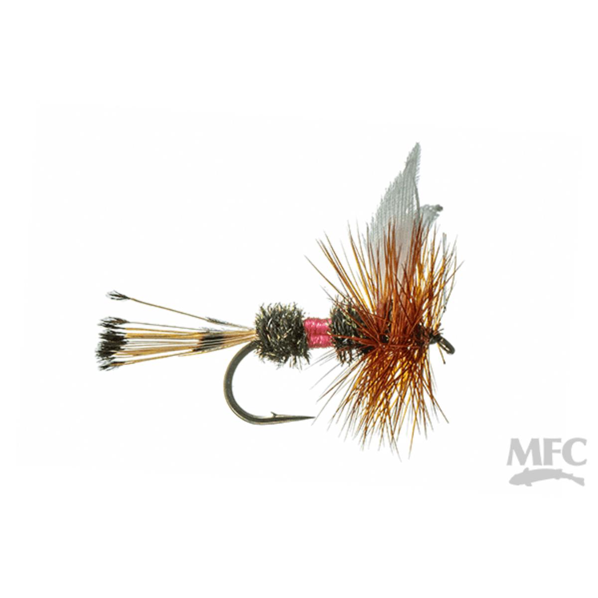 Royal Coachman Dry Fly
