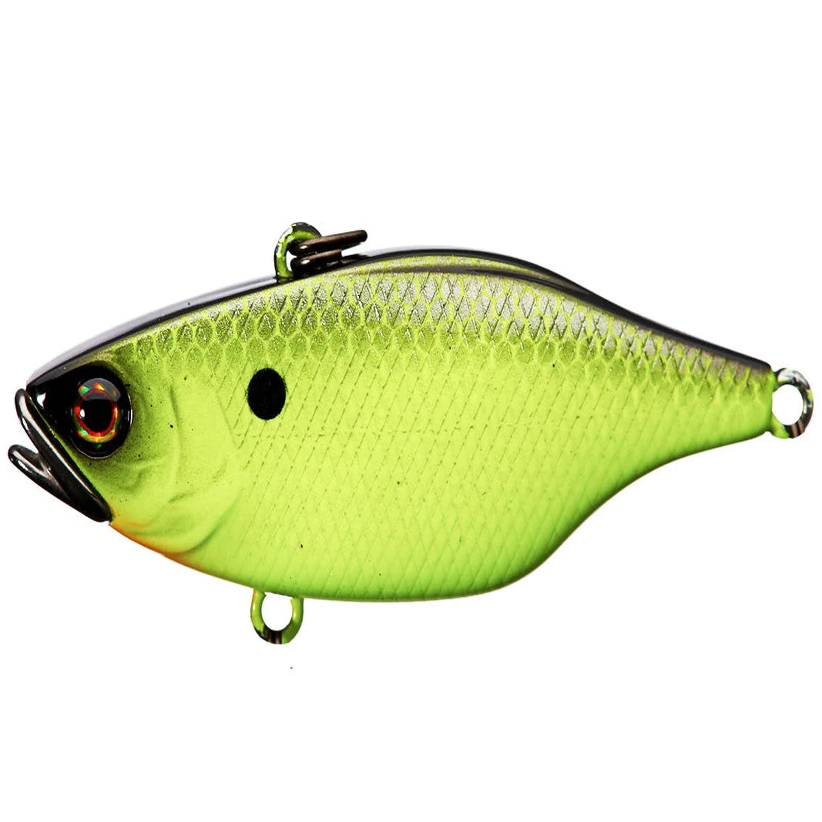Jackall TN80