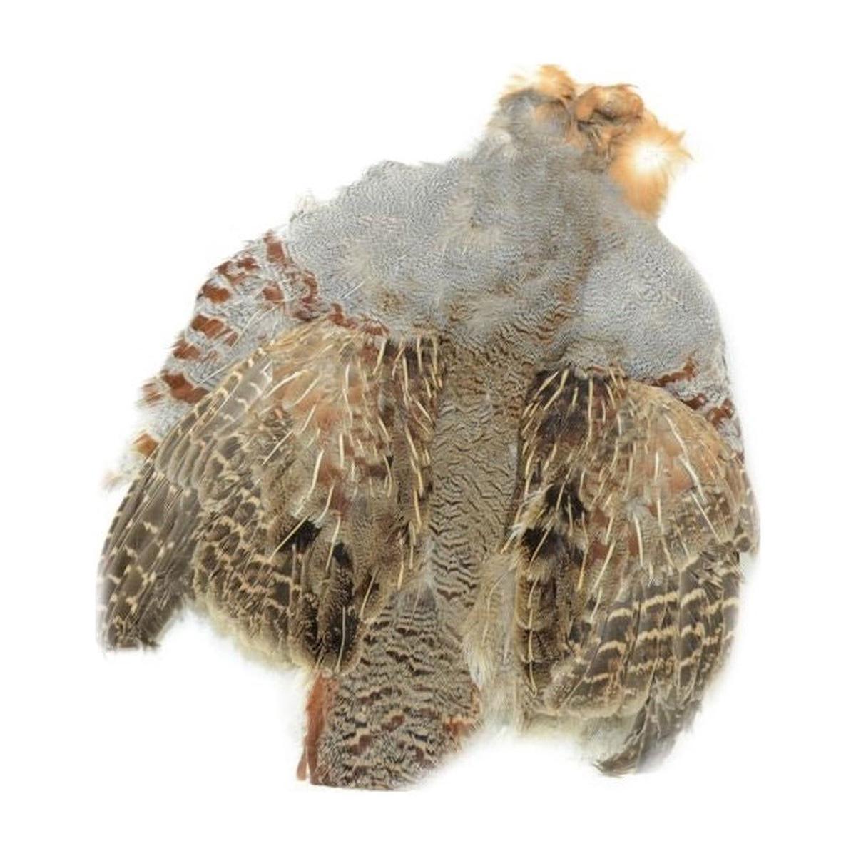 Nature's Spirit Select Partridge Skin, Natural