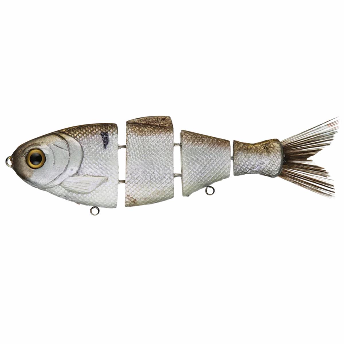 Bull Shad Swimbaits Slow Sink