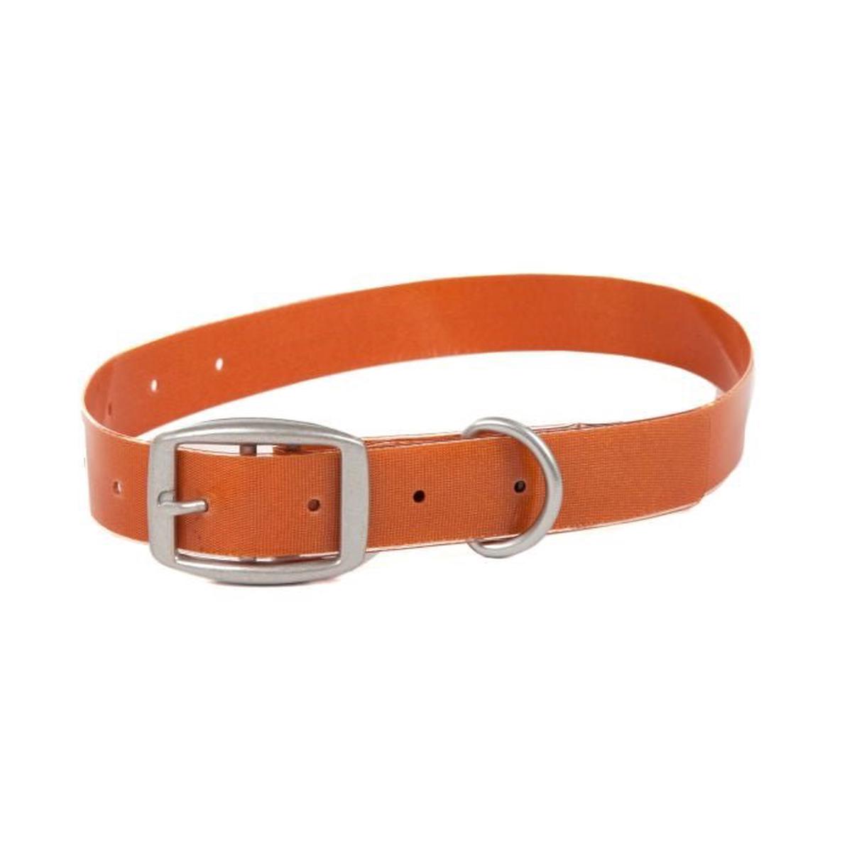 Fishpond Salty Dog Collar - Cutthroat Orange