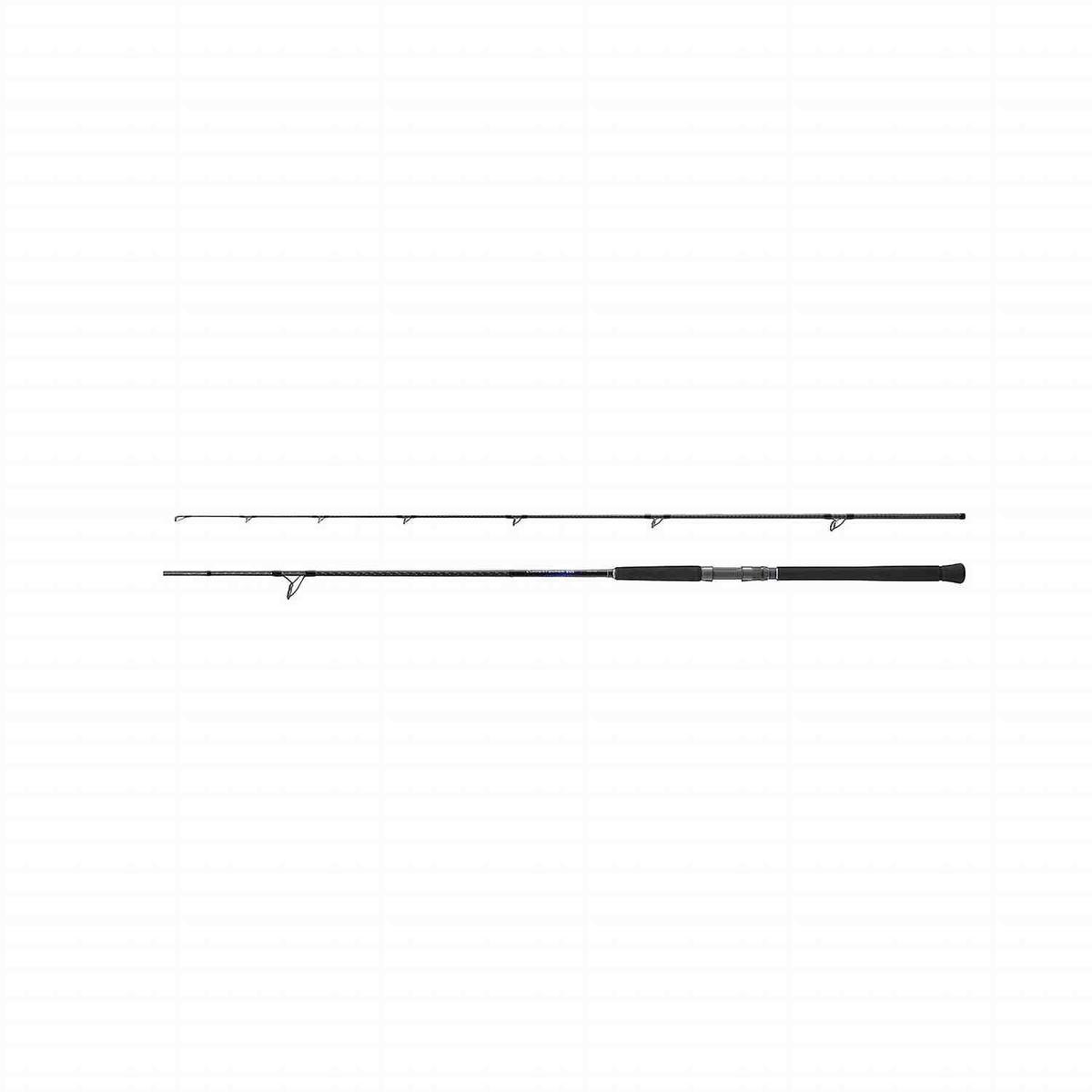 Shimano Currentsniper BB Shore Jigging 9'6 65g JIG80g 2pc