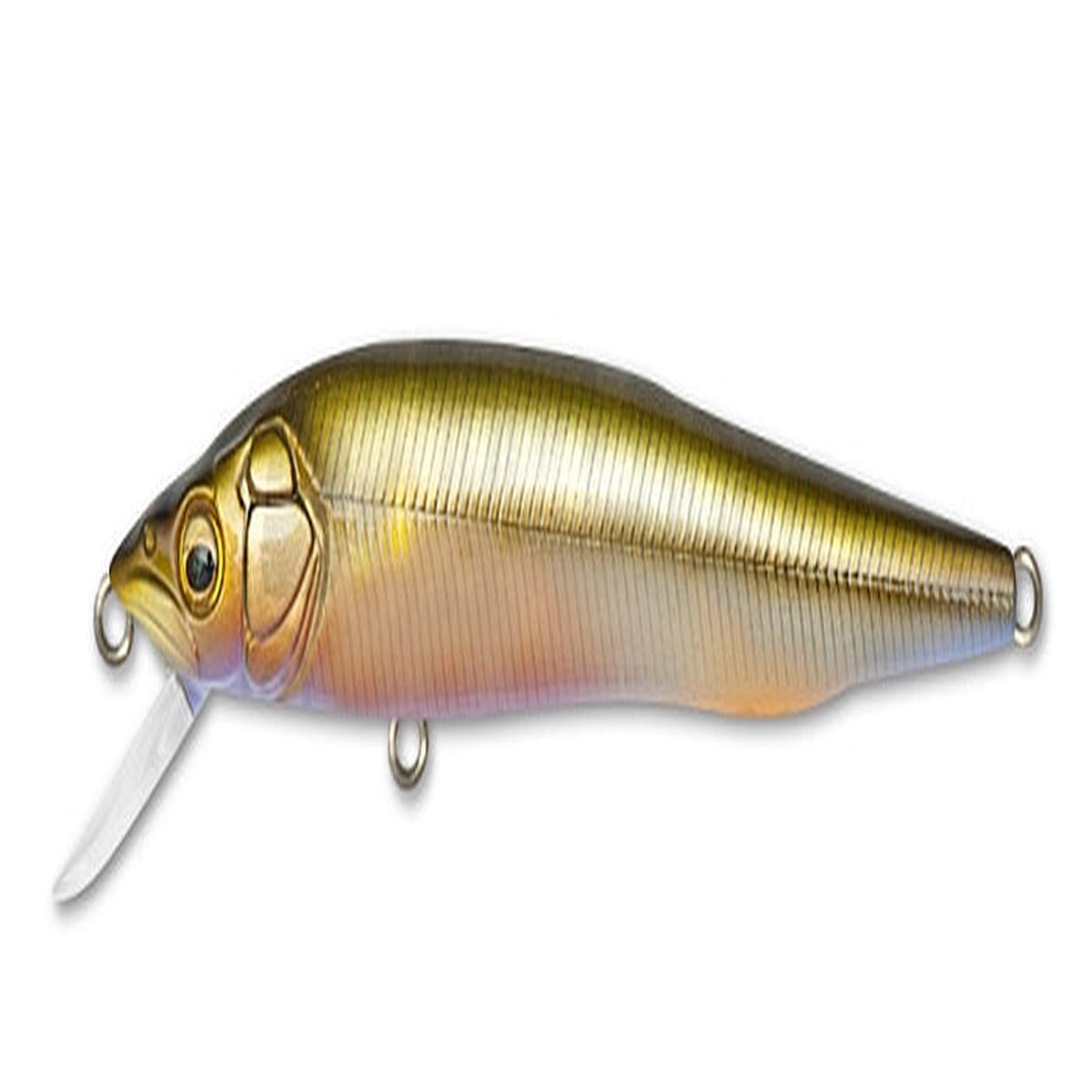 MEGABASS VISION Q-GO PM OCHI AYU