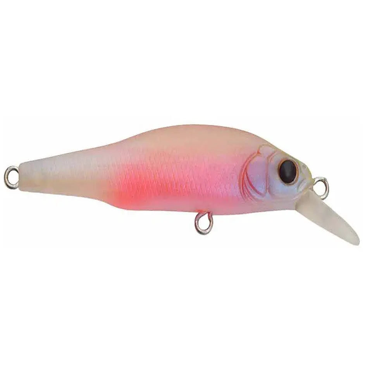 Megabass X-80 Jr - Baby Kingyo