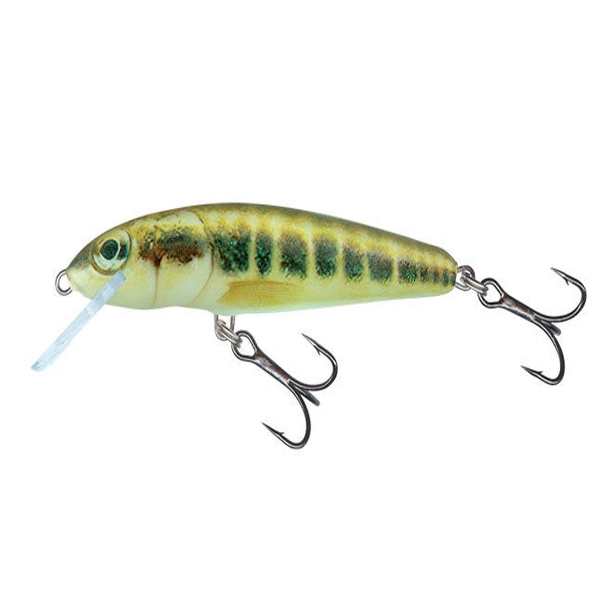 Salmo Minnow S 6cm 6g Minnow