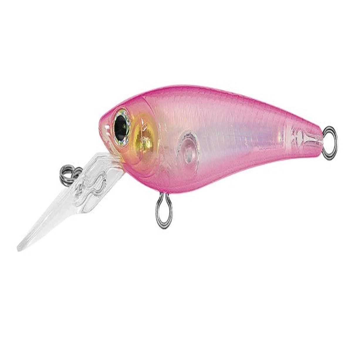 SC Shad 5